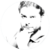 Profile picture of Tommaso MORELLO