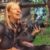 Profile picture of Katja Goovaerts