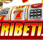 Profile picture of Meribeti Net