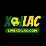 Profile picture of Xoilac TV Độc Quyền Trực Tiếp Bóng Đá