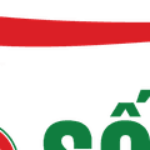 Profile picture of Chợ Ô Tô Số 1 Hà Nội