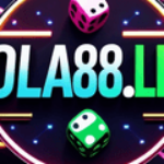 Profile picture of DOLA 88