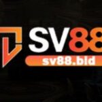 Profile picture of SV88