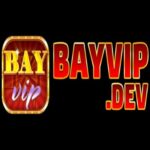 Profile picture of Bayvipdev