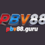 Profile picture of Nha Cai PBV88