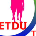 Profile picture of Vietdu Travel