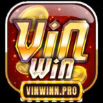 Profile picture of Vinwin
