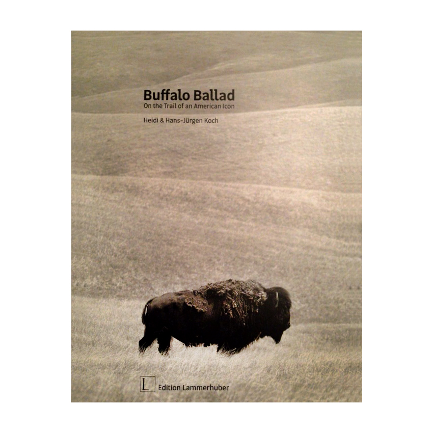D Buffalo Ballad
